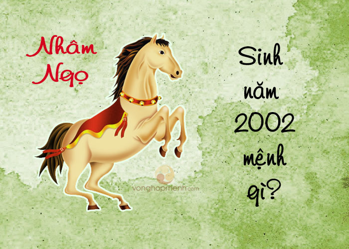 2002 là mệnh gì - 2002 là mệnh gì? Mệnh của người sinh năm Tân Ngọ 2002 là mệnh gì - 2002 là mệnh gì? Mệnh của người sinh năm Tân Ngọ