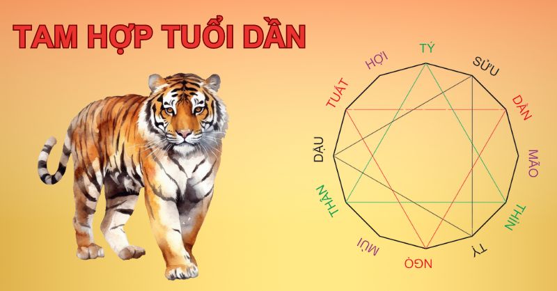 Tuổi Dần kỵ với tuổi nào - 1. Tuổi Dần xung khắc theo nguyên lý Tứ Hành Xung