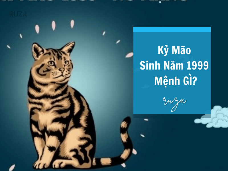 1999 mệnh gì - Trong hôn nhân: 1999 mệnh gì - Trong hôn nhân: