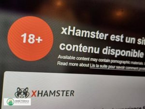 hinh-anh-105xhamter-1404594004