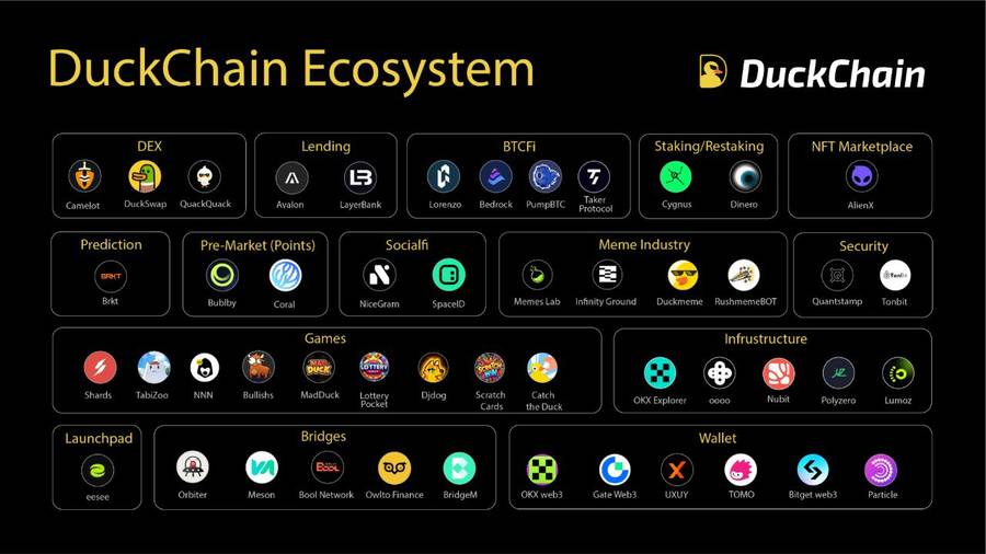 Duckchain - Tương thích EVM và lợi ích cho nhà phát triển Duckchain - Tương thích EVM và lợi ích cho nhà phát triển