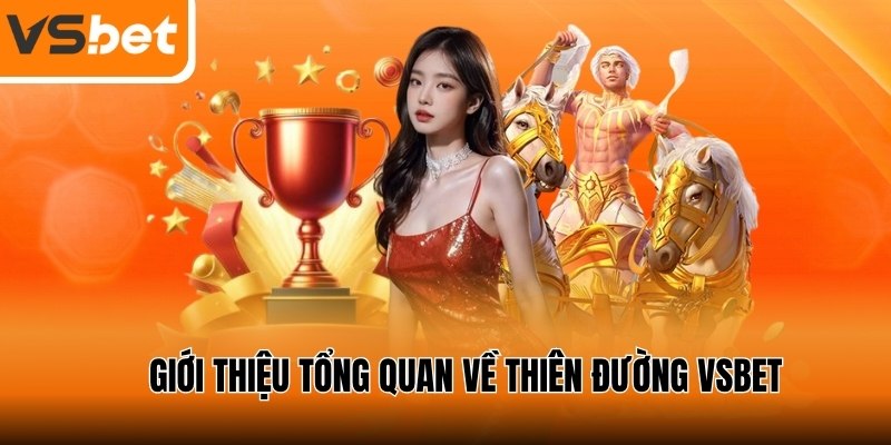 Nhận xét chi tiết về tốc độ phản hồi thắc mắc của người chơi tại Vsbet