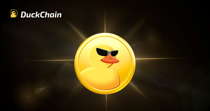 Duckchain - Chuẩn bị trước khi tương tác on-chain Duckchain - Chuẩn bị trước khi tương tác on-chain