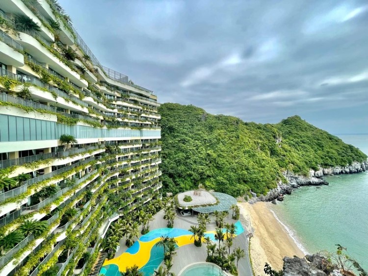 Flamingo Cát Bà - Loại hình sản phẩm: đừng chọn theo cảm xúc Flamingo Cát Bà - Loại hình sản phẩm: đừng chọn theo cảm xúc