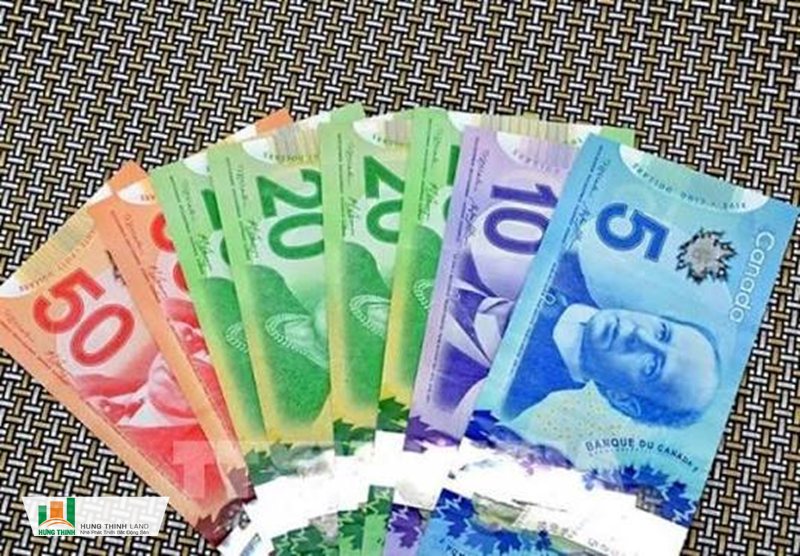 Đô Canada - Tỷ giá Đô Canada sang VND hôm nay tham khảo Đô Canada - Tỷ giá Đô Canada sang VND hôm nay tham khảo